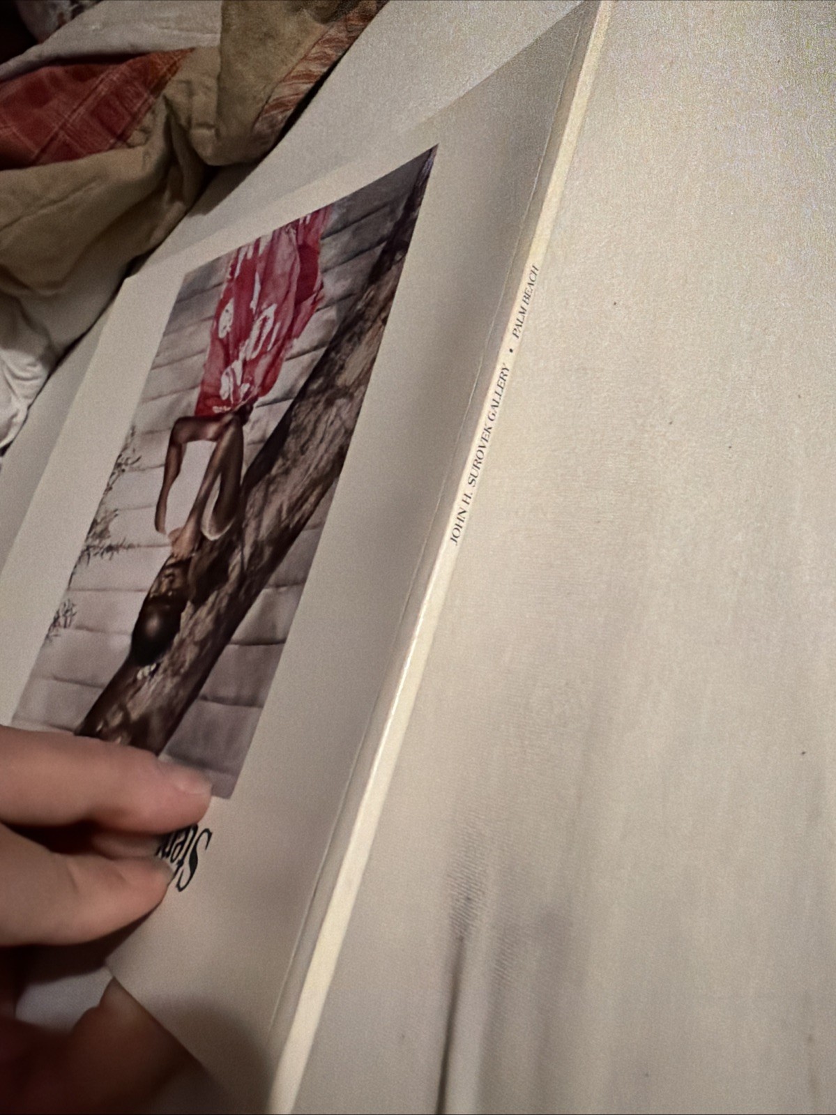 Stephen Scott Young, Surovek Gallery FL Catalog, In The American Tradition, 1996