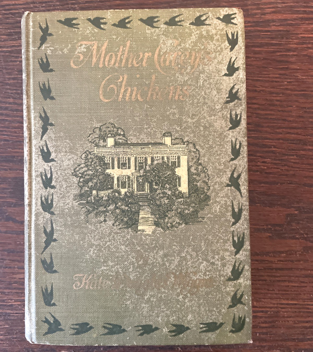 Mother Carey’s Chickens Kate Douglas Wiggin 1911 Illustrated Coming of Age Book