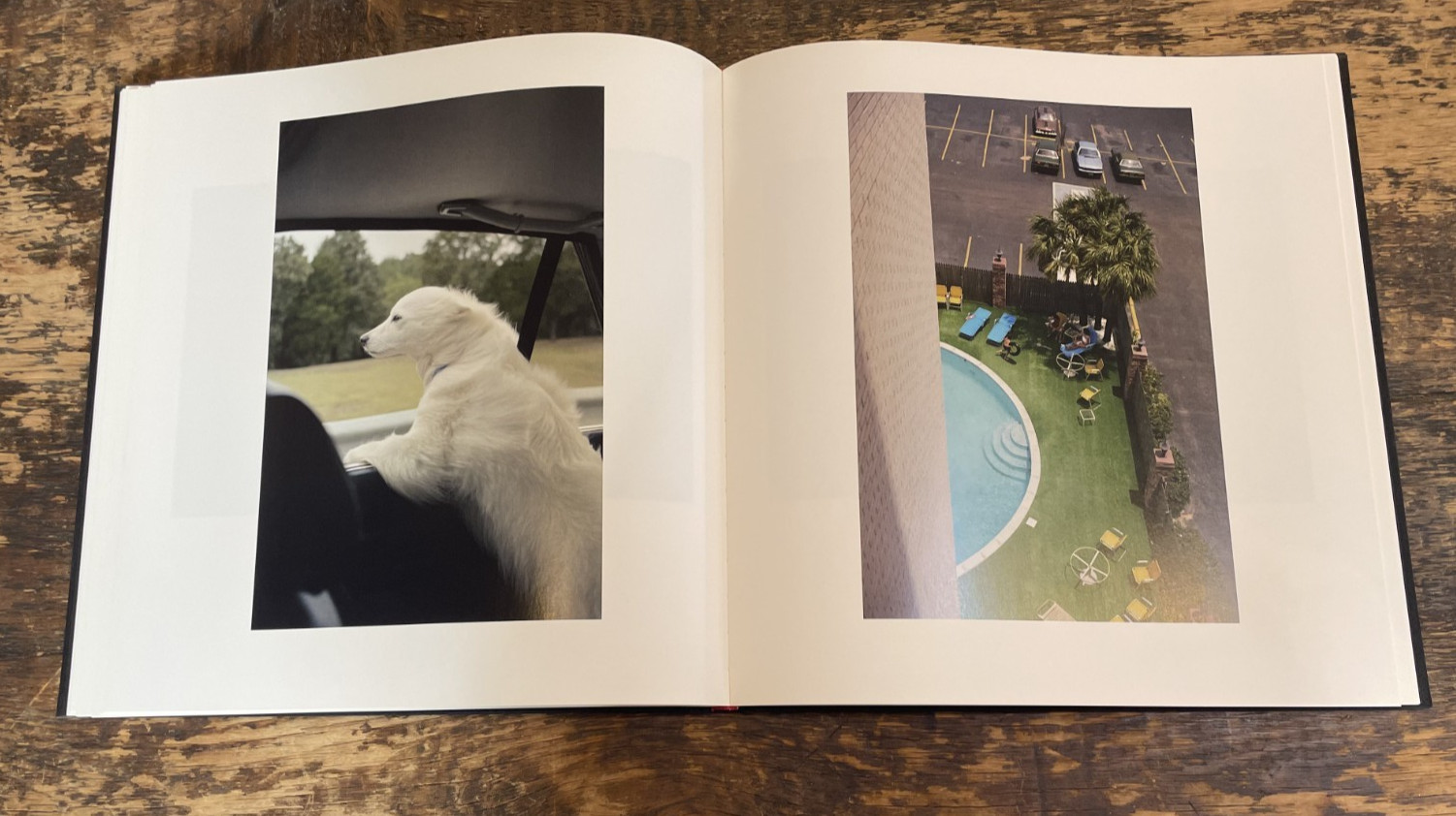 William Eggleston : The Democratic Forest