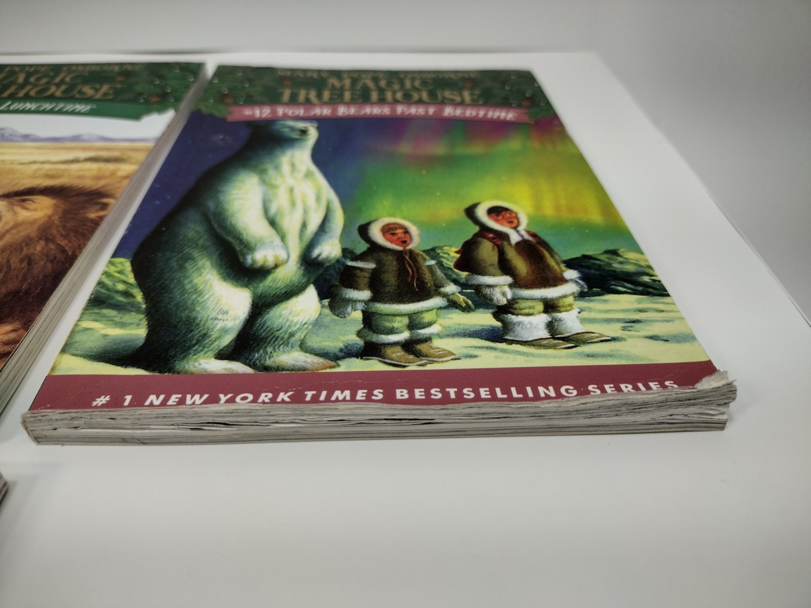 Magic Tree House Books 1-15 Mary Pope Osborne Paperback