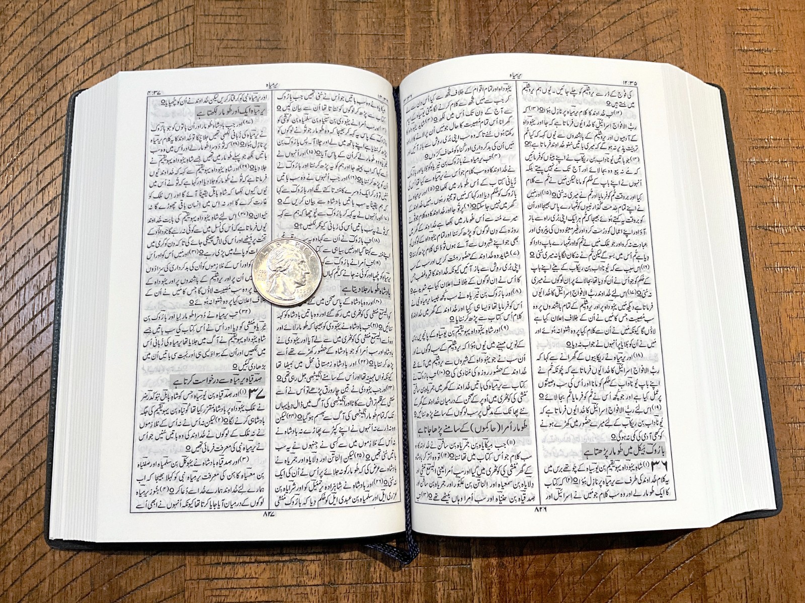 URDU Bible, Persian Script, Compact Black and Gold Vinyl Cover