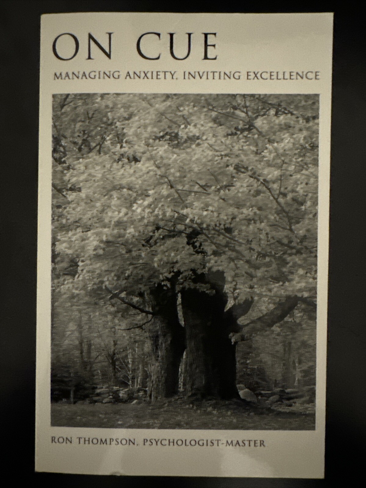 ON CUE: MANAGING ANXIETY, INVITING EXCELLENCE By Ronald E Thompson