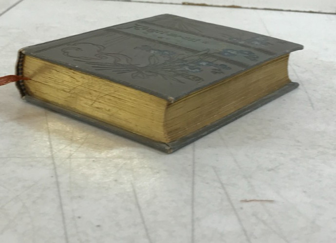 Forget me not; Scripture Texts, 1911, E-92