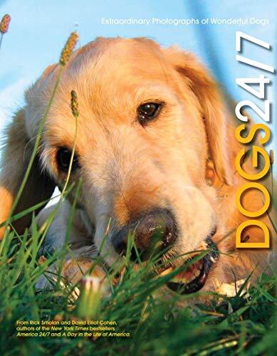 Dogs 247: Extraordinary Photo – Hardcover – VERY GOOD