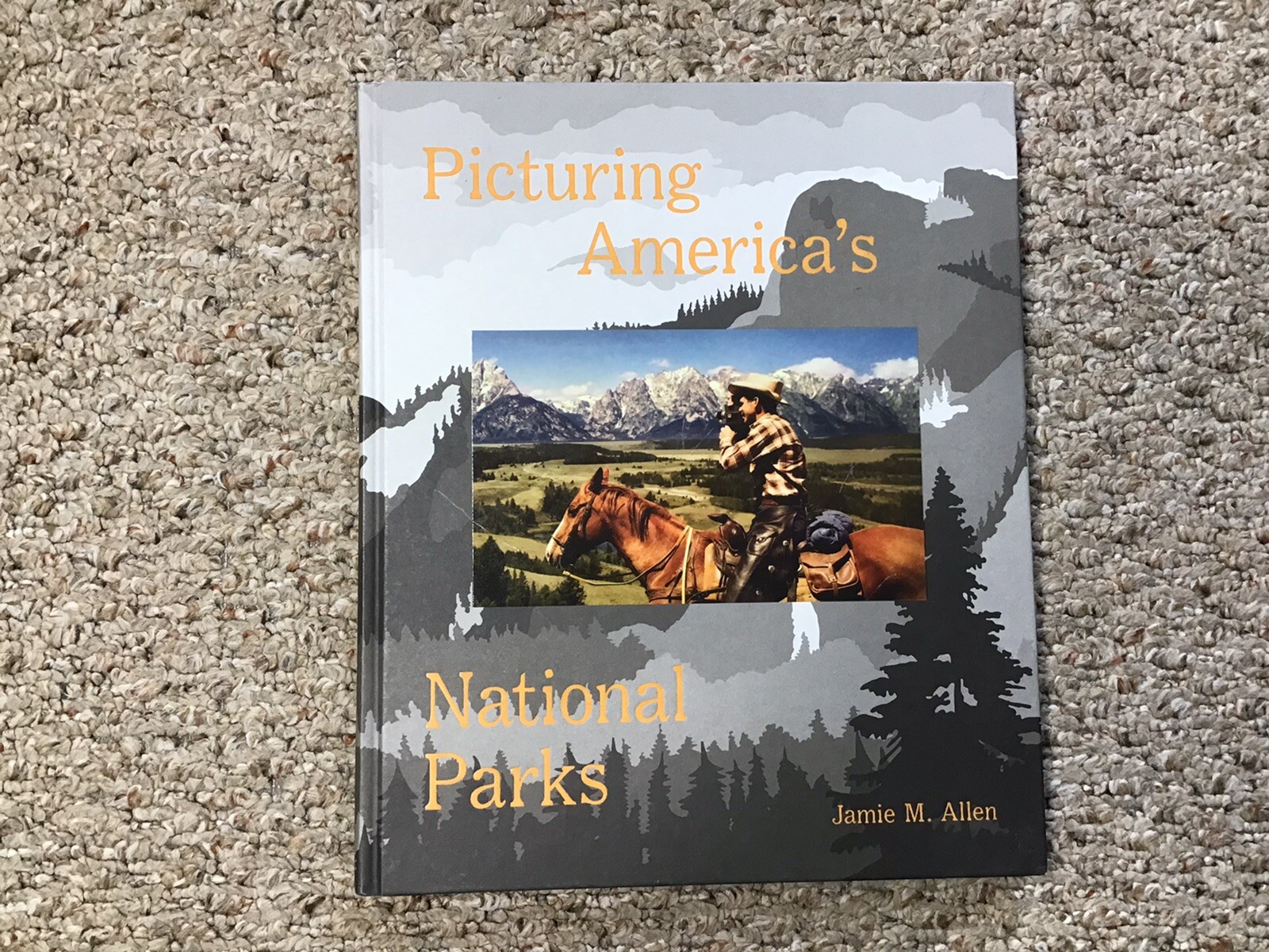 Picturing America’s National Parks by Jamie M. Allen (2016, Hardcover)