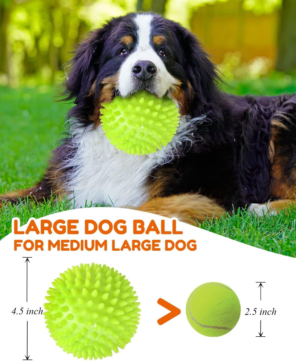 2 Pack 4.5in Pweituoet Heavy Duty Squeaky Dog Ball