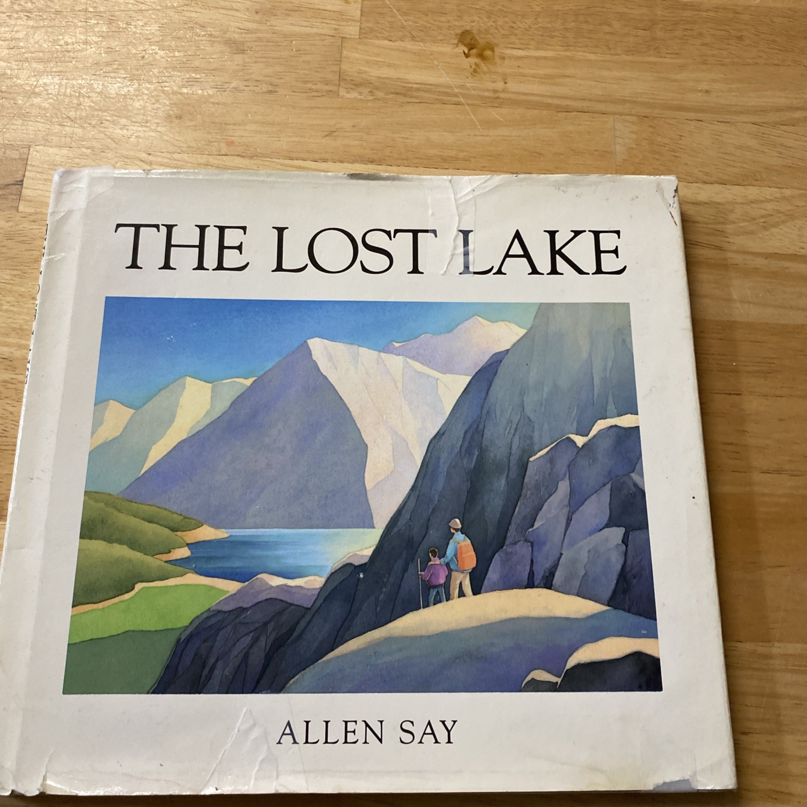 Lost Lake by Allen Say (1989, Hardcover)