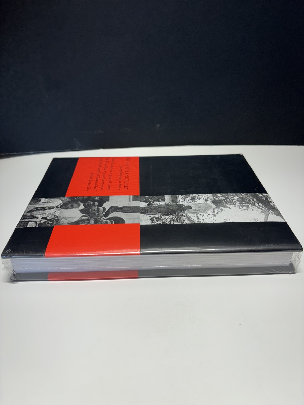 Without Sanctuary : Lynching Photography in America by James Allen (1999,…