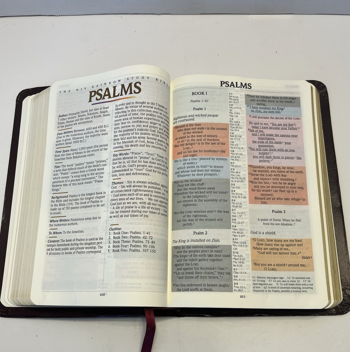 NIV Rainbow Study Bible Bold Line Edition New International Version Burgundy