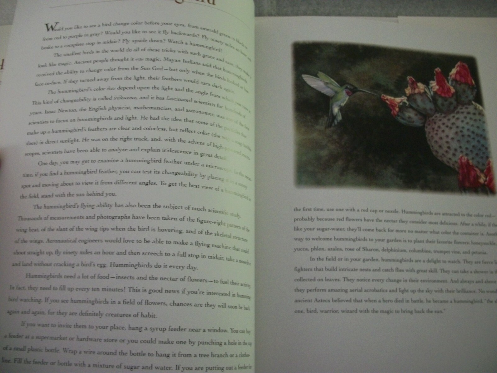 Bev Doolittle Book – Reading the Wild by Elise Maclay – First Edition – SIGNED