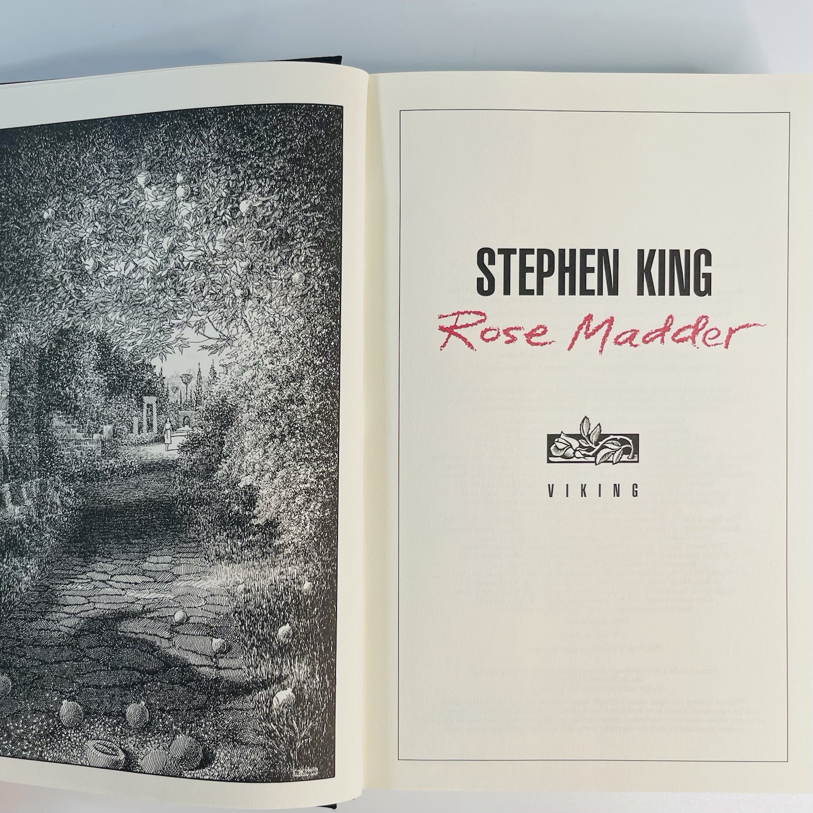 Rose Madder by Stephen King First Edition First Printing HC/DJ 1995