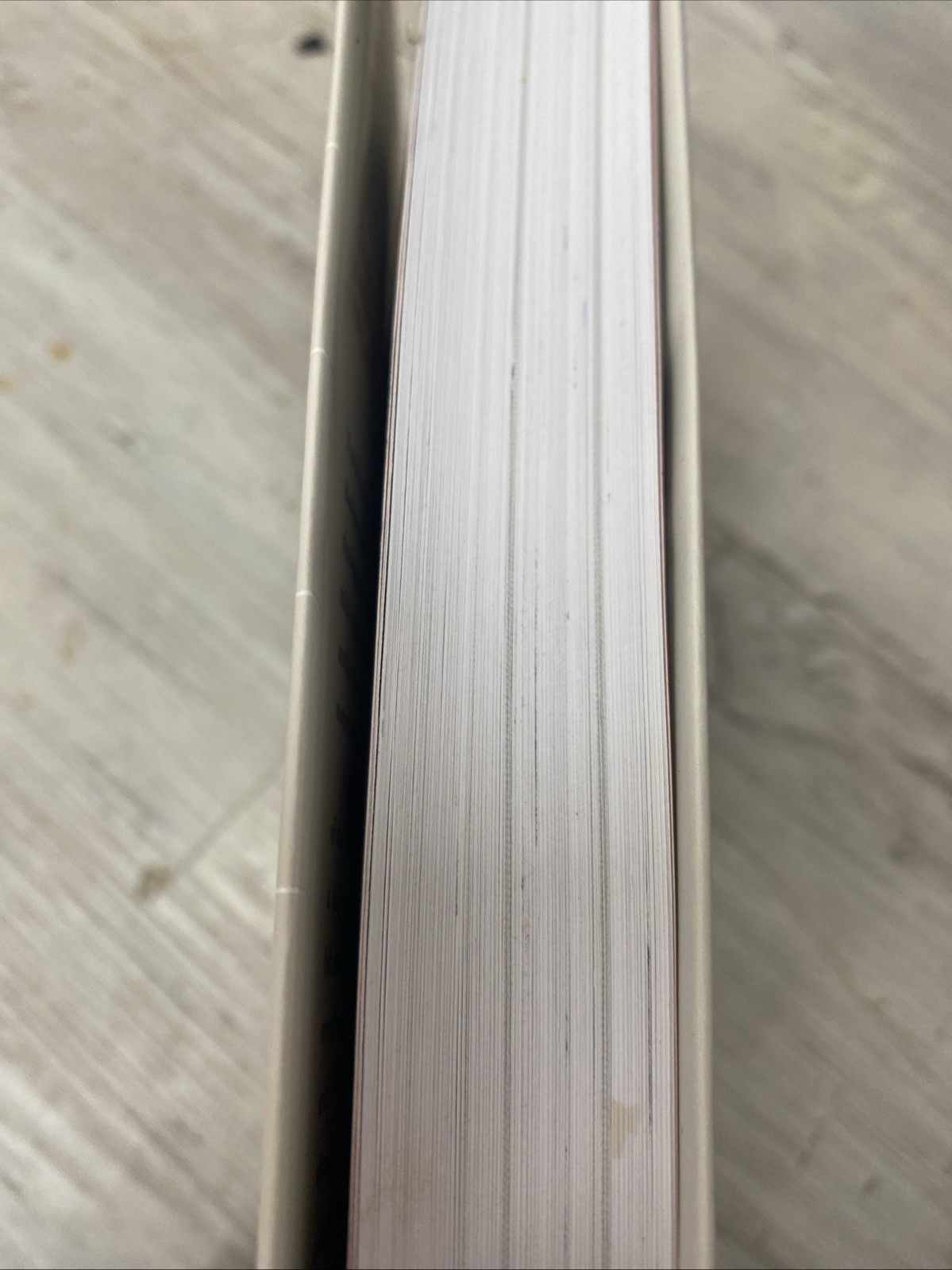 The Backyard Bird Chronicles Amy Tan