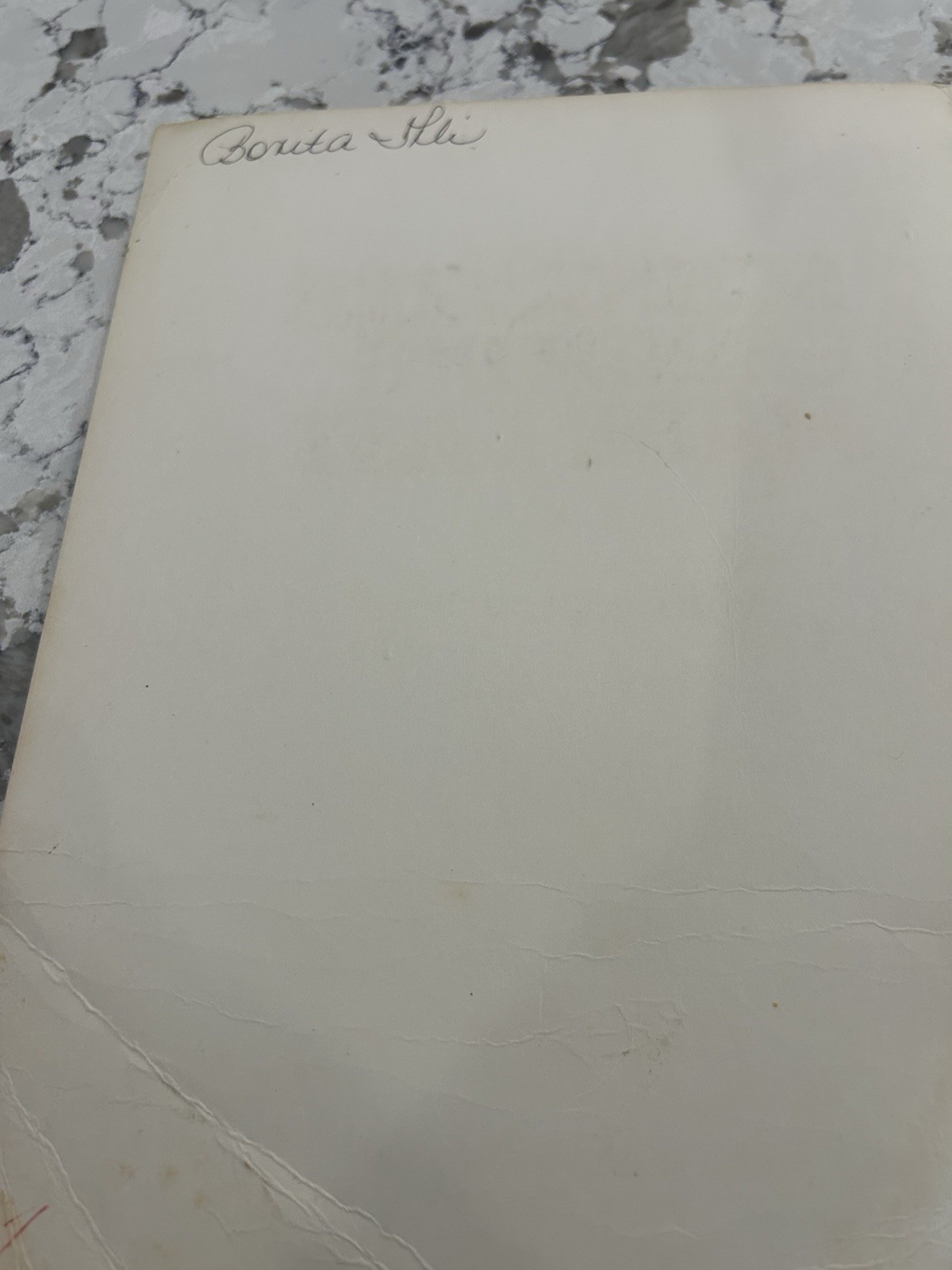 Vintage USA Dog Schnauzer Grooming Made Easy Book 1983 Mario Migliorini RARE