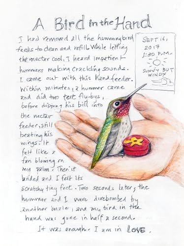 The Backyard Bird Chronicles by Amy Tan Nature and Birding Exploration