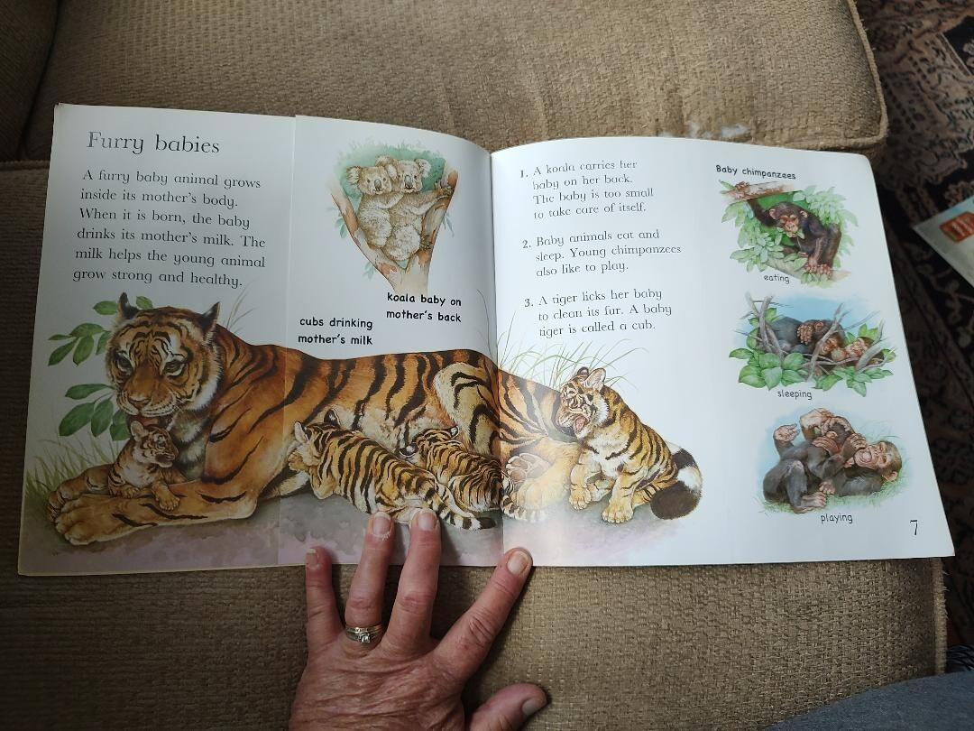 Flip the Flaps: Baby Animals Picture Book Hannah Wilson