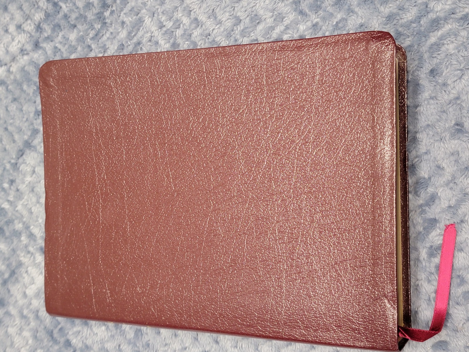 Life Application Study Bible New Living Translation Tyndale Burgundy Book