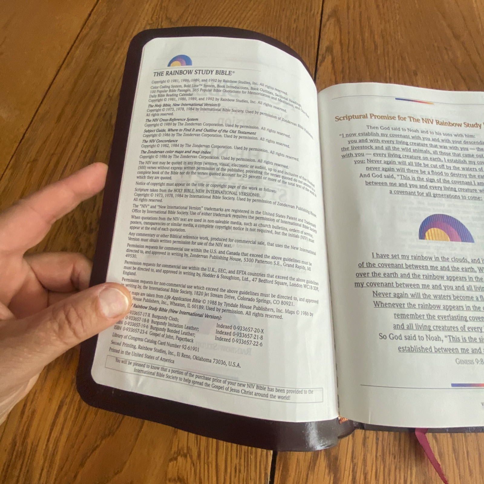 The NIV Rainbow Study Bible Bold Line Edition Burgundy