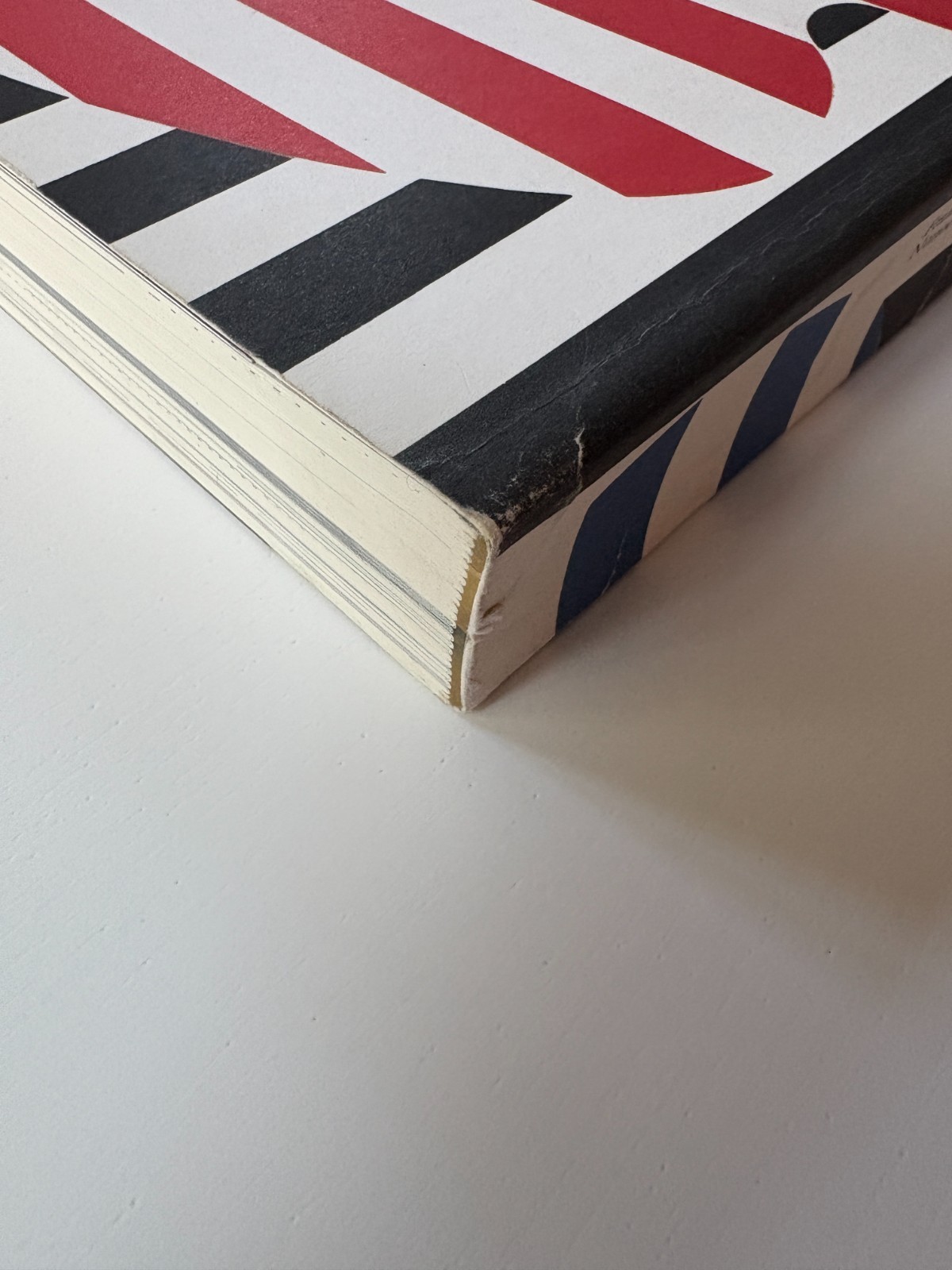 PAUL RAND: MODERNIST DESIGN Graphic Design History COLLECTIBLE 2003 Book