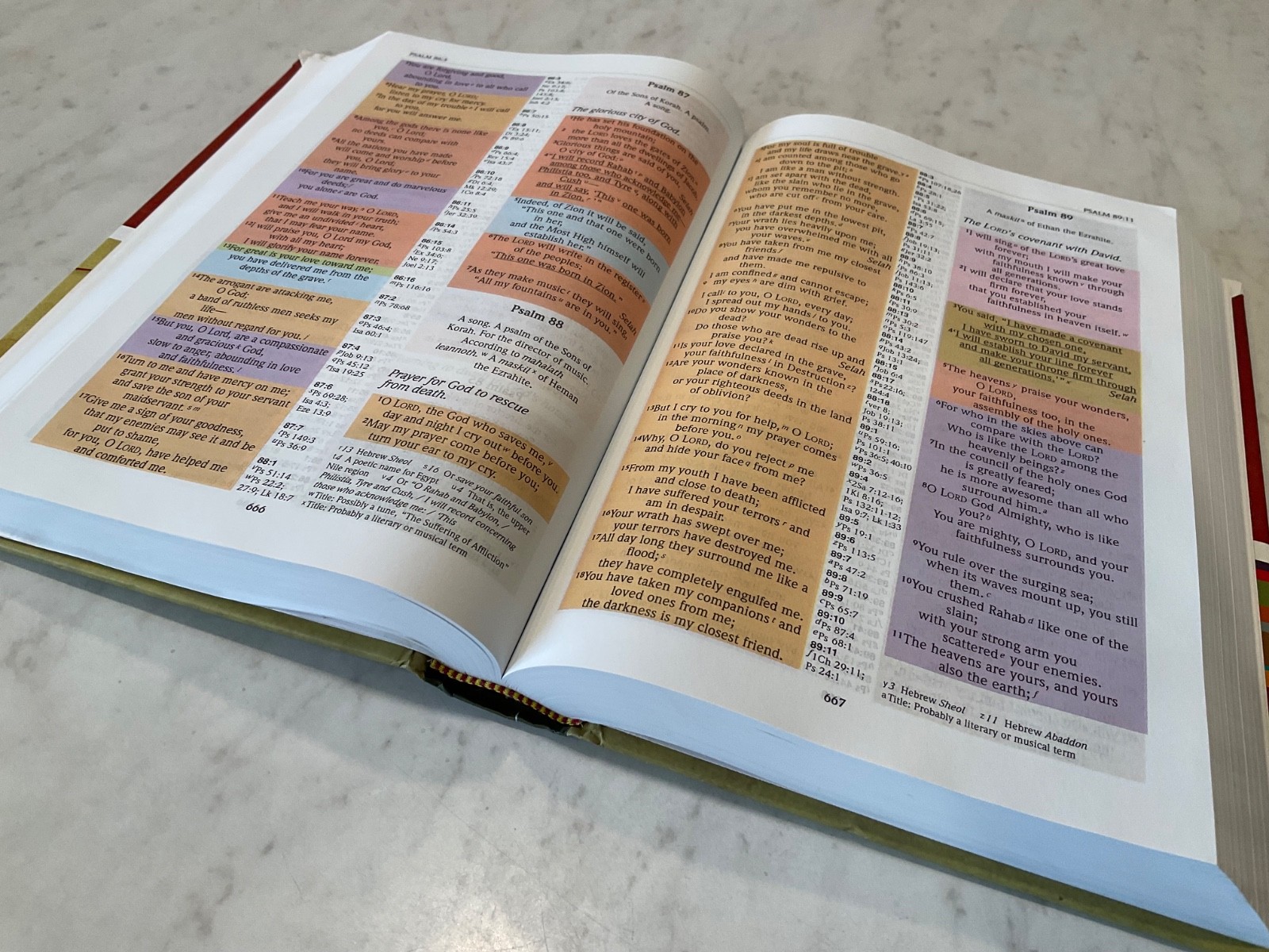 NIV Full Color Rainbow Bible 2007 Hardcover Text 1984