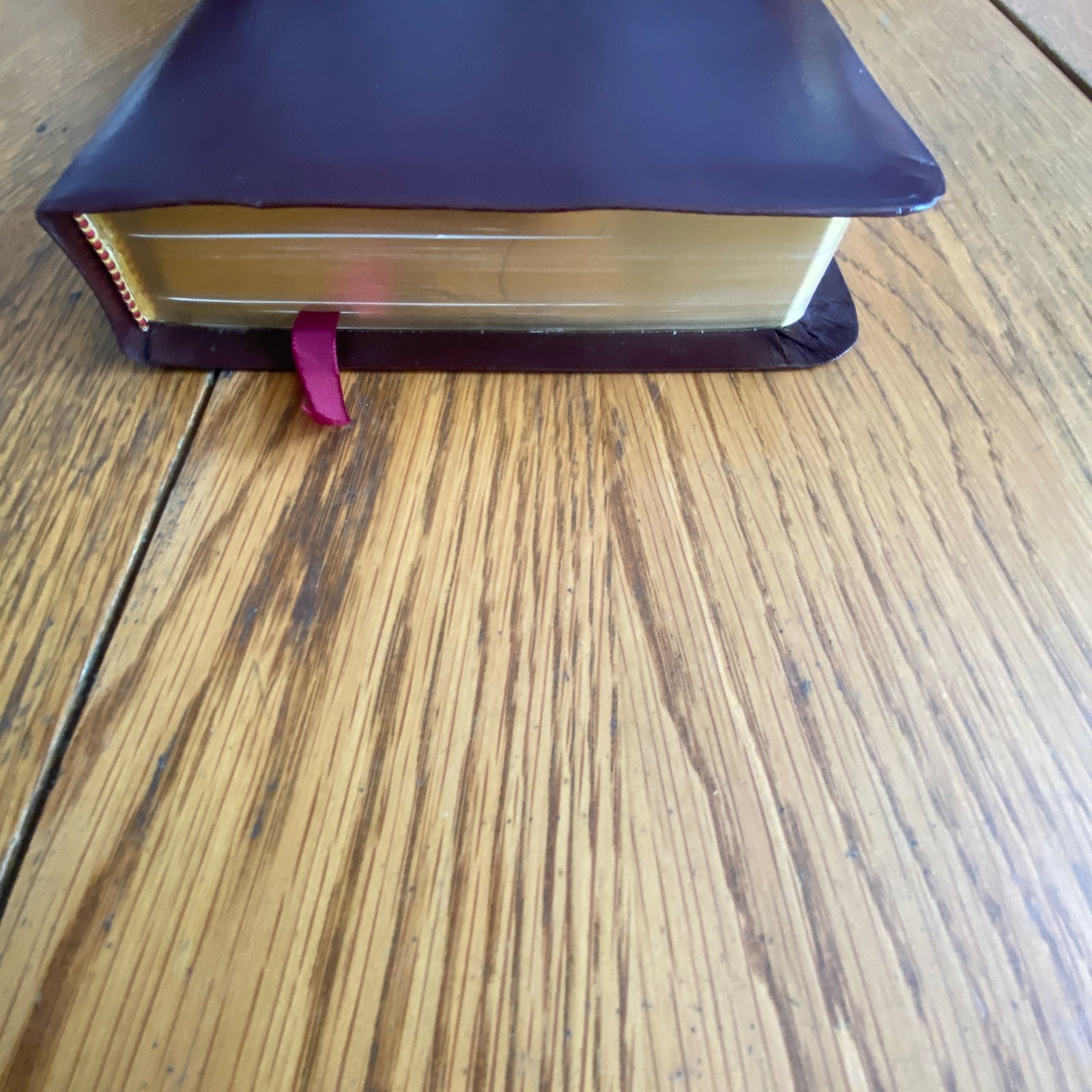 The NIV Rainbow Study Bible Bold Line Edition Burgundy