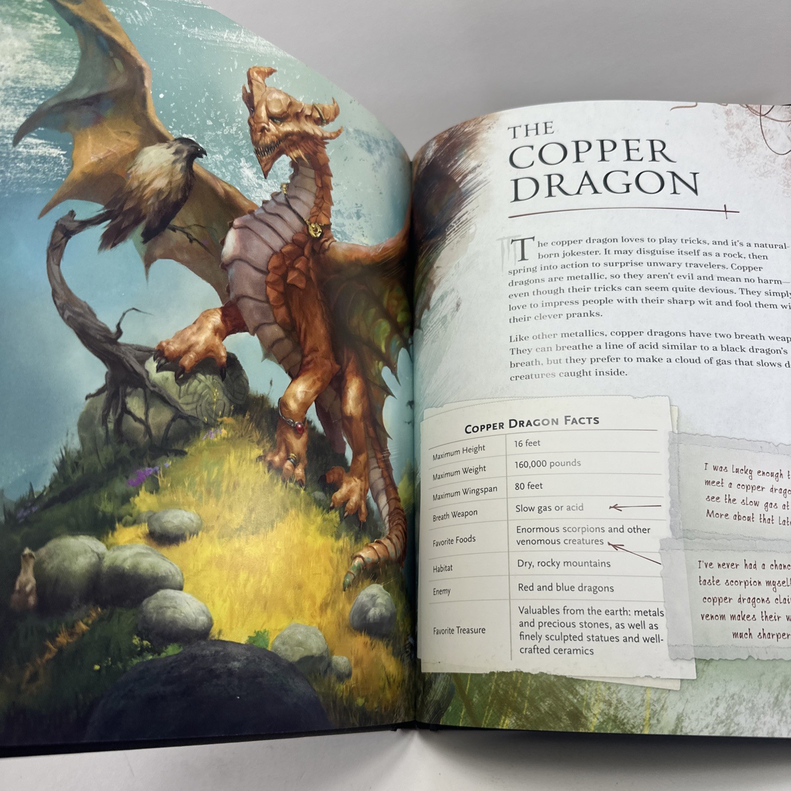 Practically Complete Guide to Dragons Dungeons & Dragons HC Wizards of the Coast