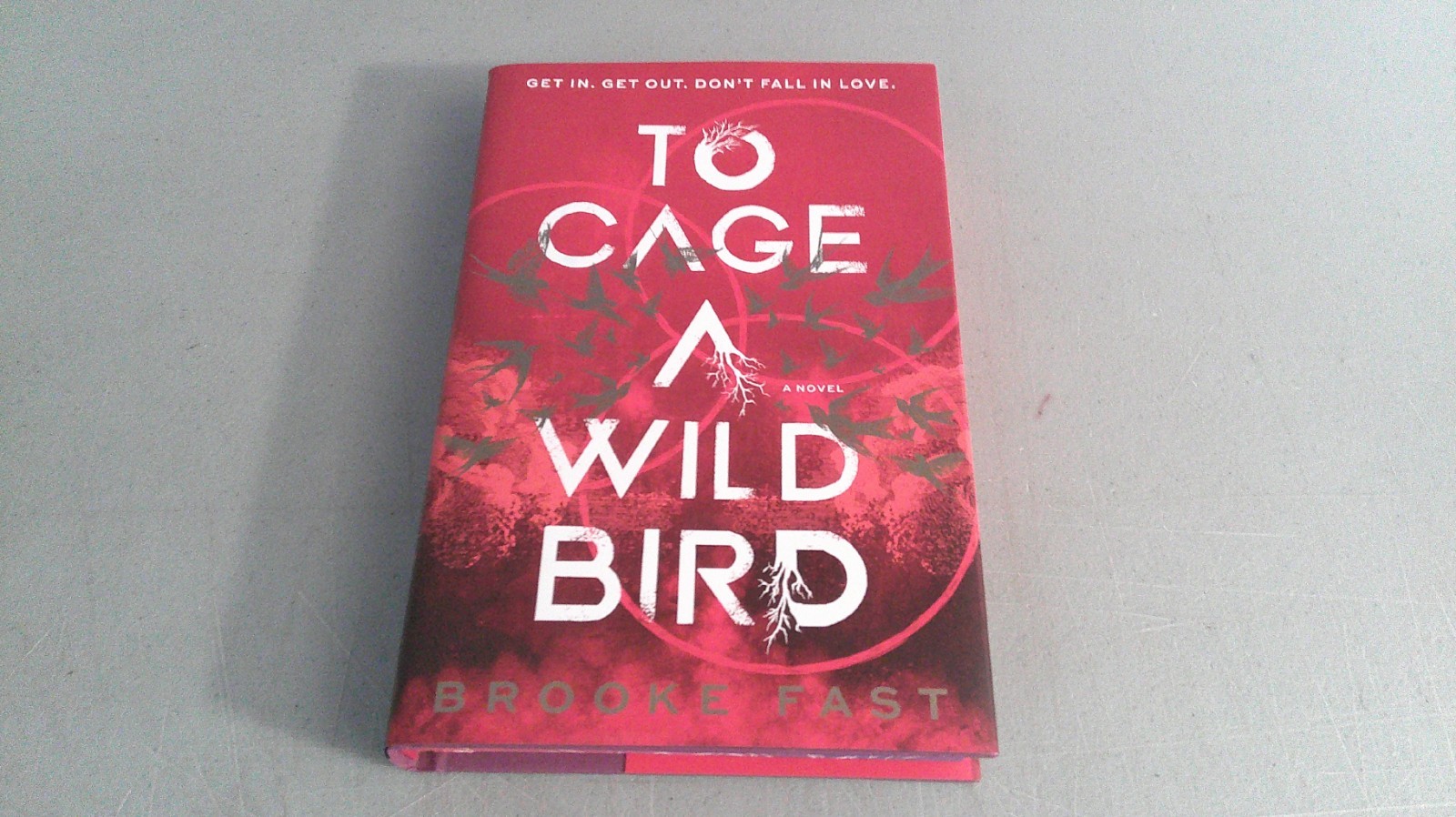 To Cage A Wild Bird 2025 HC Deluxe Limited Edition by Brooke Fast