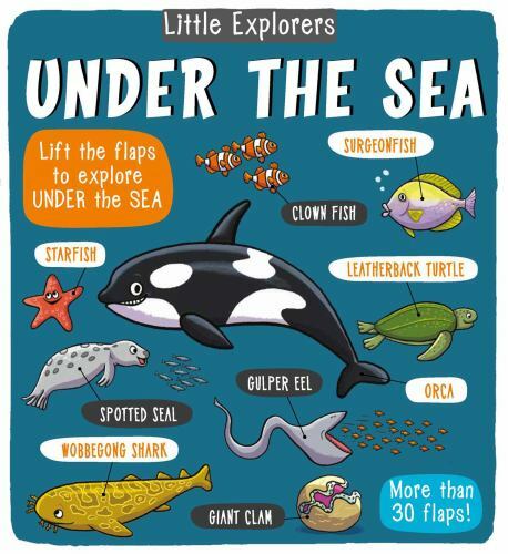 Little Explorers: Under the Sea – Hardcover By Little Bee Books – GOOD
