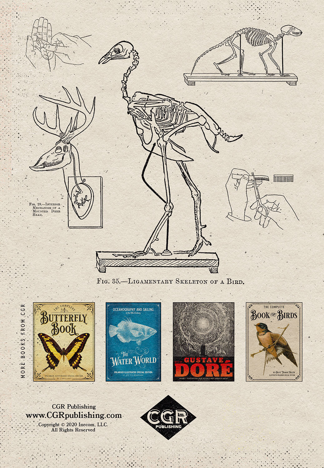 The Art of Taxidermy: Enlarged Illustrated Special Edition book *BRAND NEW*