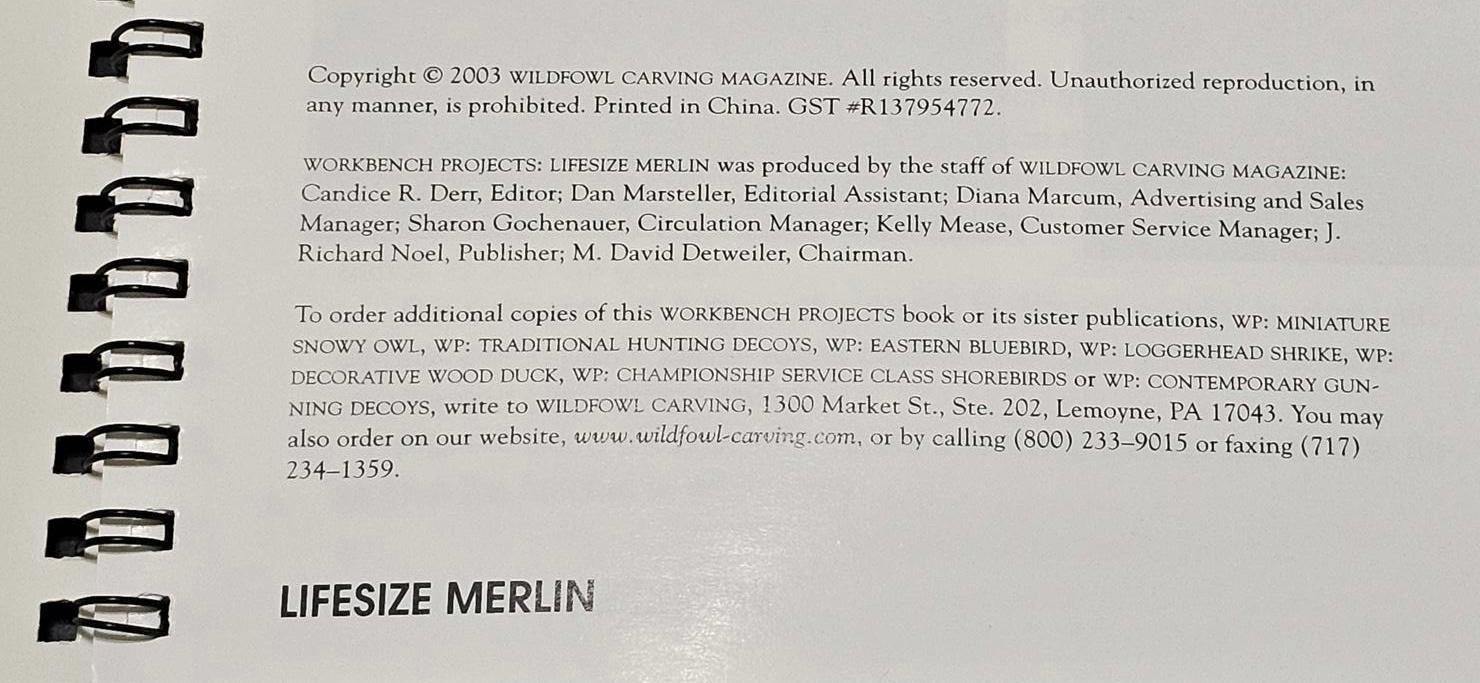 Wildfowl Carving Magazine Workbench Projects Lifesize Merlin How-To Book