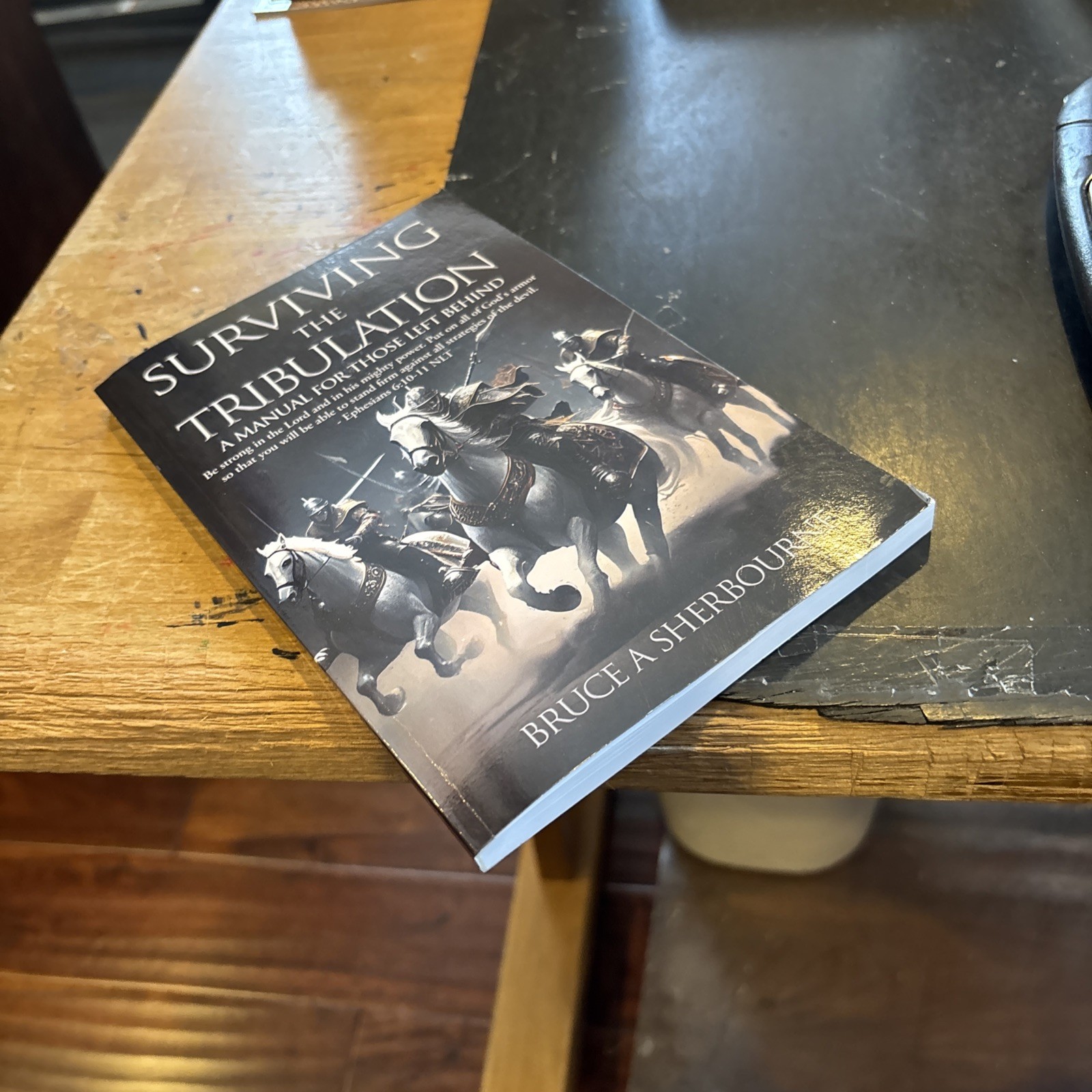 SURVIVING THE TRIBULATION : Those Left Behind by Bruce Sherbourne 2023 pb Christ