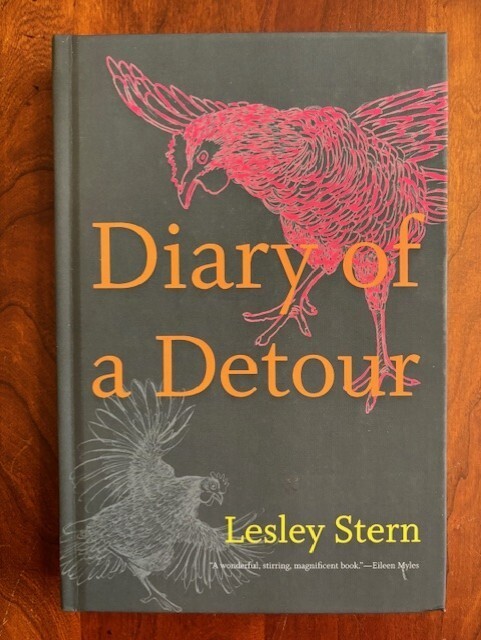 Diary of a Detour by Lesley Stern, Film Scholar & Author Memoir, Leukemia 1st ed