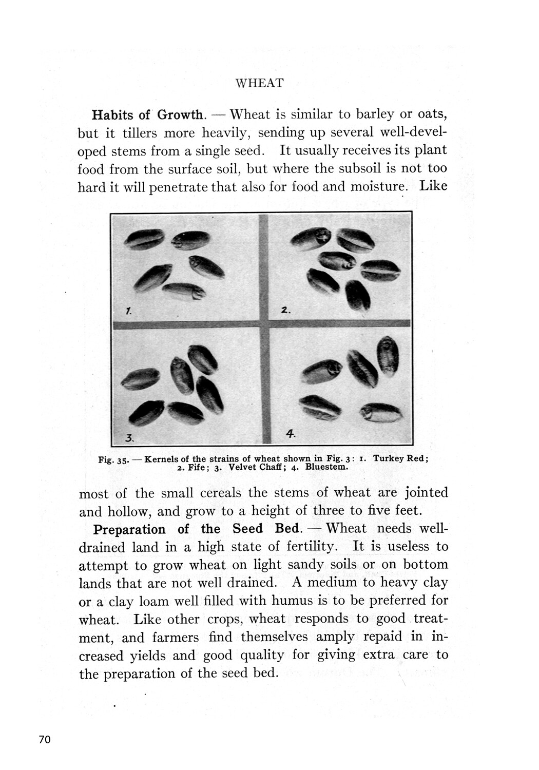 Classic Farming, Plant Production, and Horticulture: Special Edition Book *NEW*