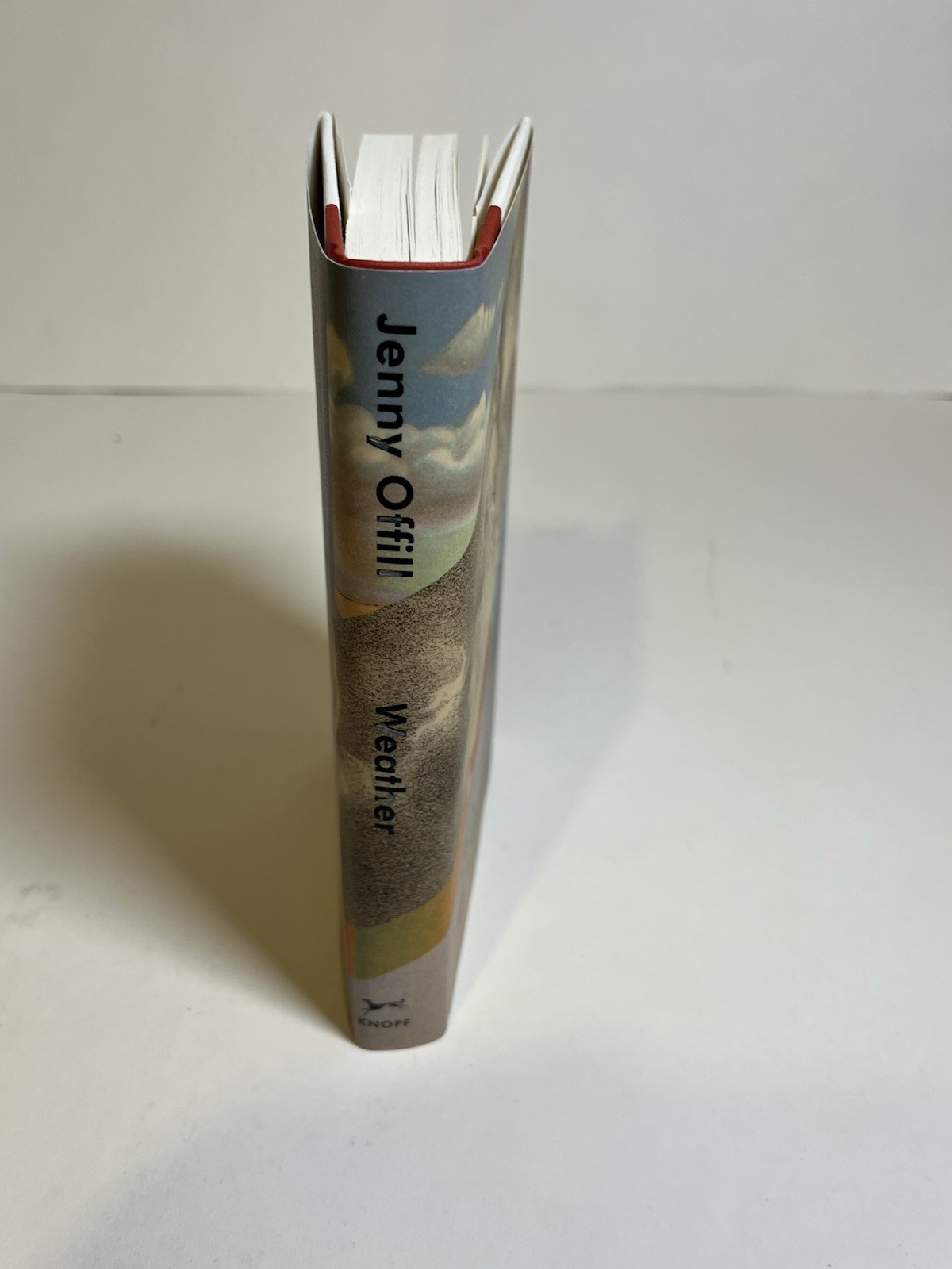Weather: A Novel By Jenny Offill HC New 2020