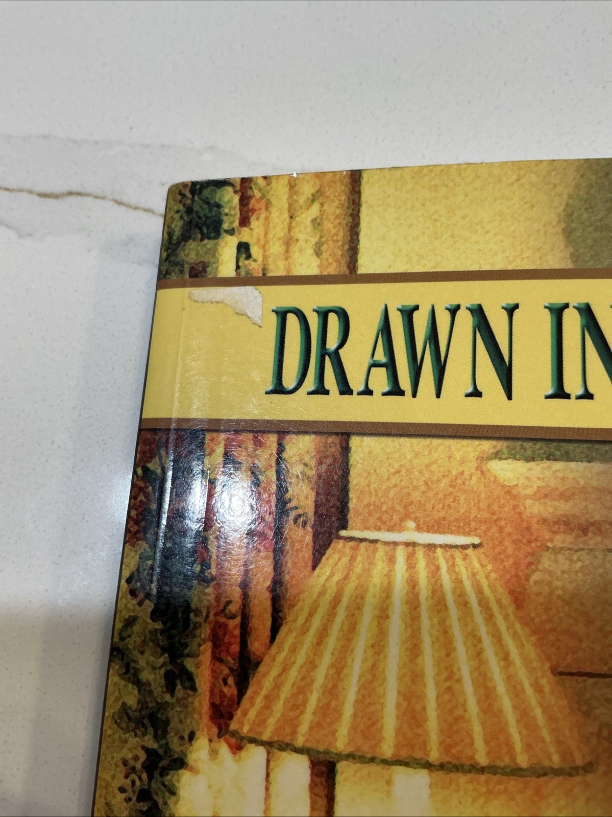 DRAWN INTO THE HEART OF READING: STUDENT BOOK 6-7-8 By Carrie Austin