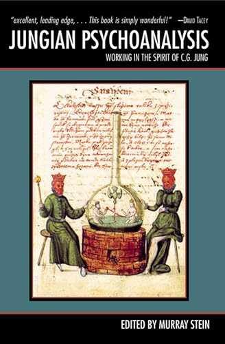 Jungian Psychoanalysis: Working in the – Paperback, by Stein Murray – Acceptable