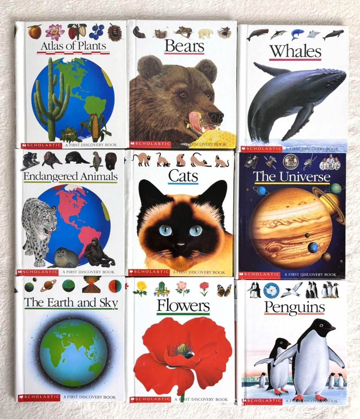 Scholastic A First Discovery Books Lot Of 21 Early Learning Home School