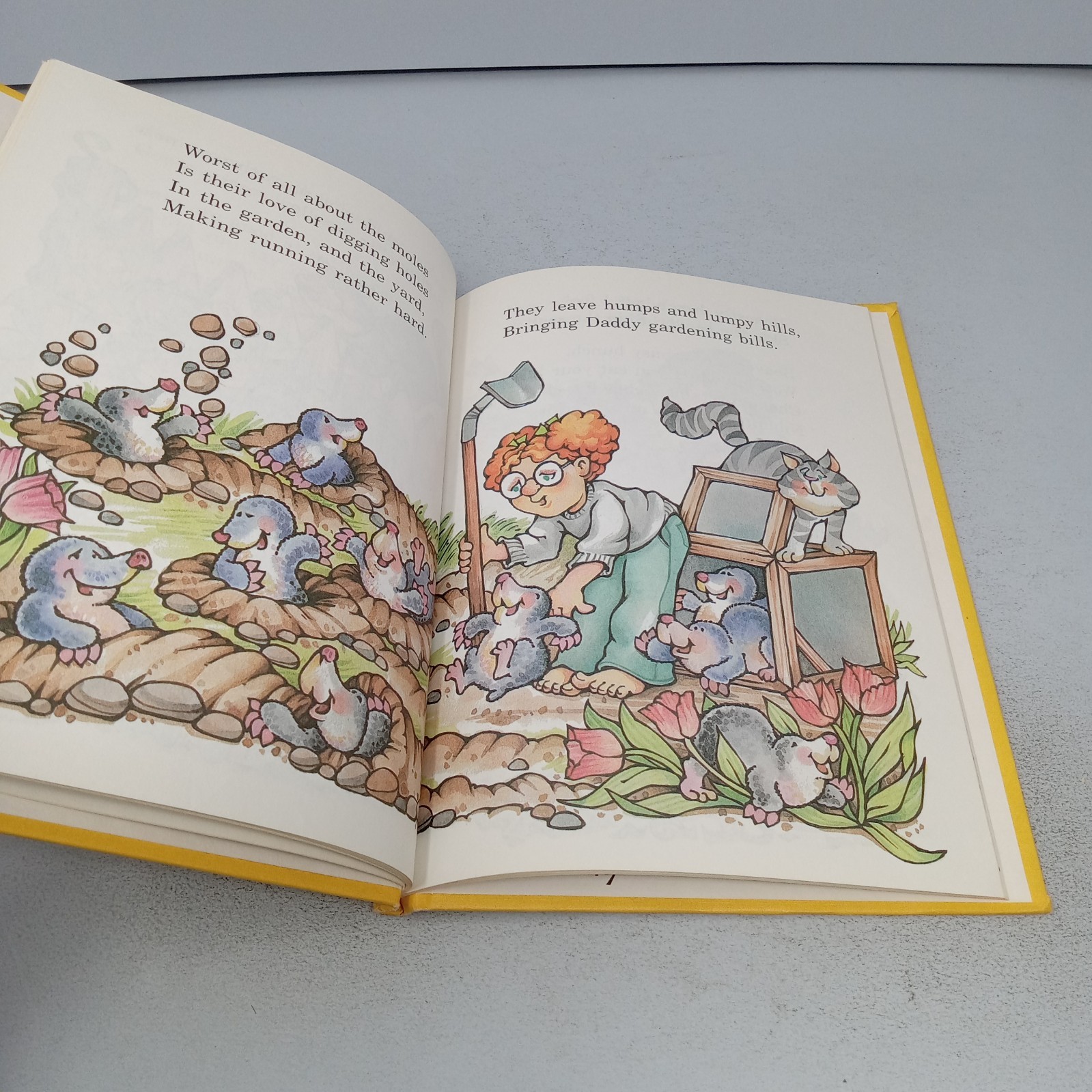 Pets I Wouldn’t Pick: 1982 Parents Magazine Press Hardcover Susan Alton Schmeltz