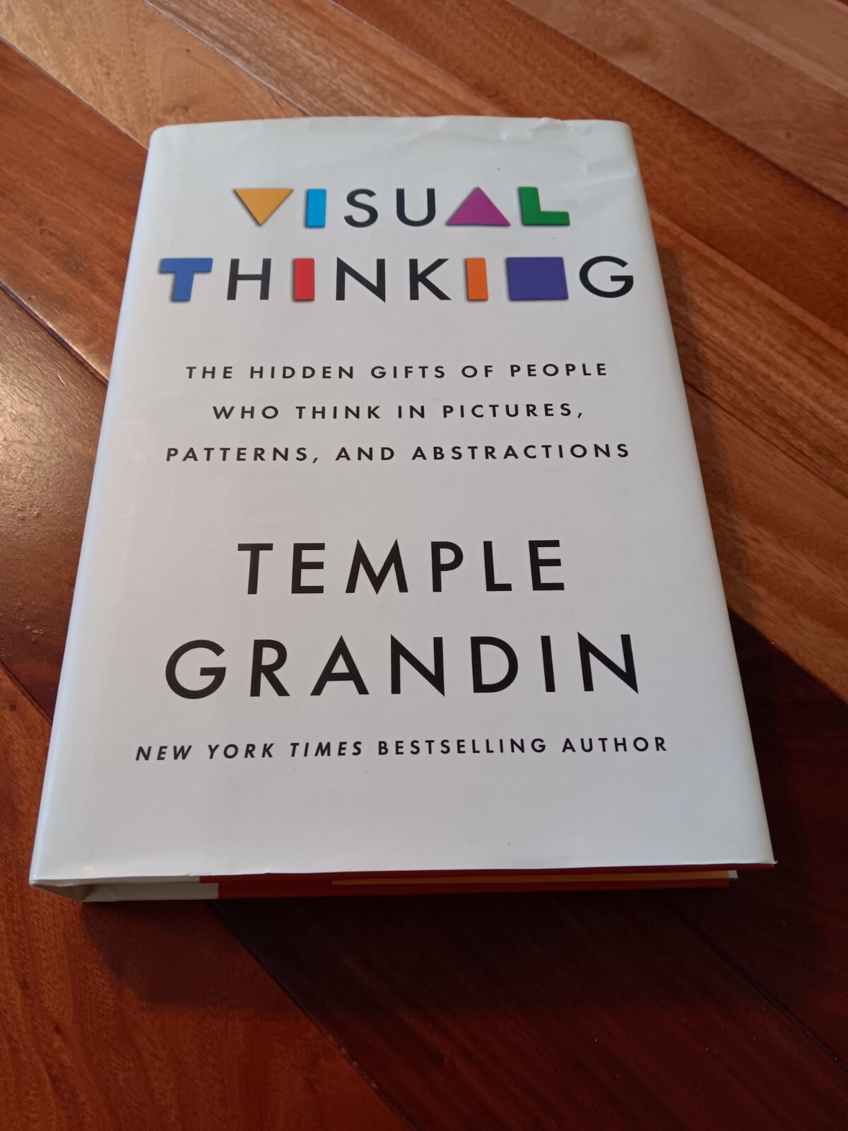 Visual Thinking : The Hidden Gifts of People By Temple Grandin NEW Paperbck 2022