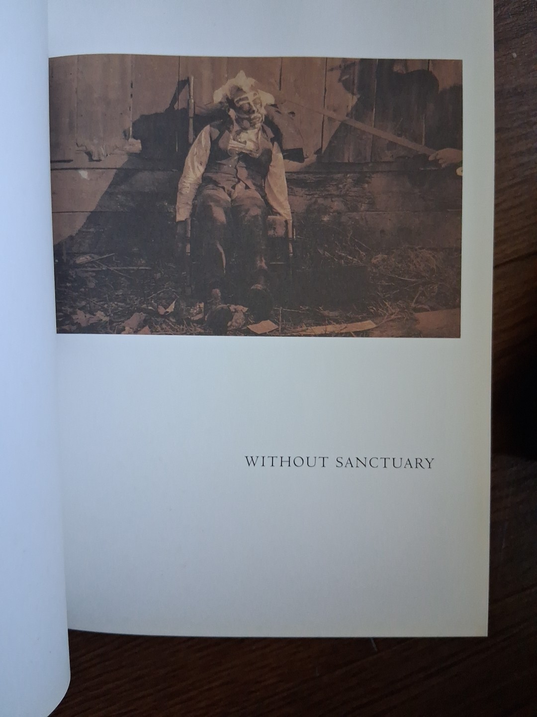 Without Sanctuary: Lynching Photography In America by James Allen, (2003). ÷