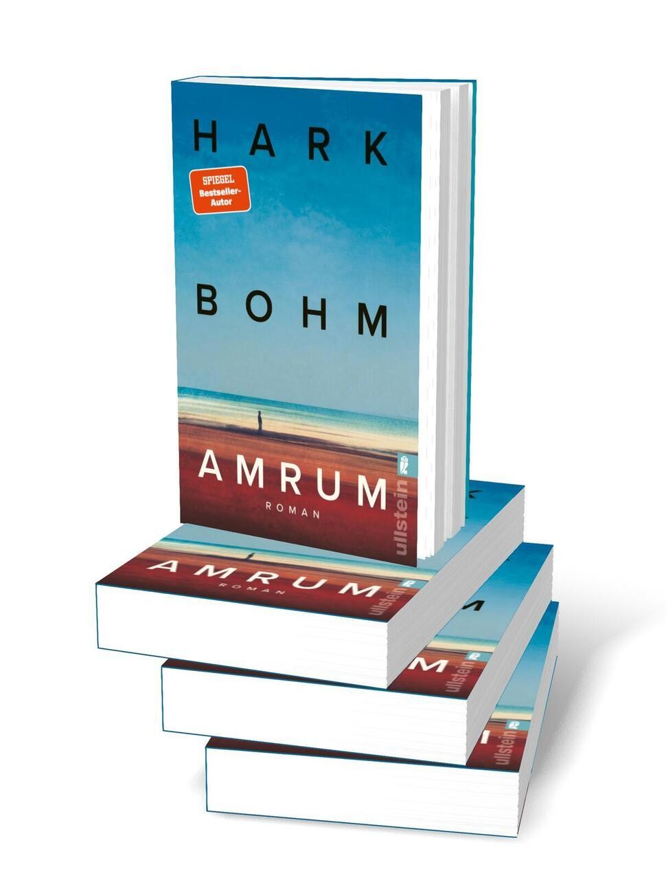 Hark Bohm / Bohm, Hark/Amrum / 9783548070087