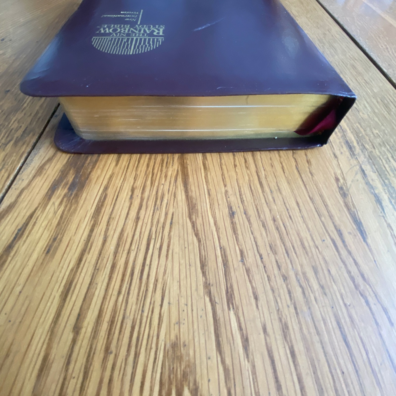 The NIV Rainbow Study Bible Bold Line Edition Burgundy