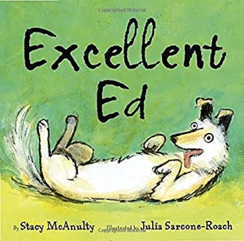 Excellent Ed Picture Book Stacy McAnulty