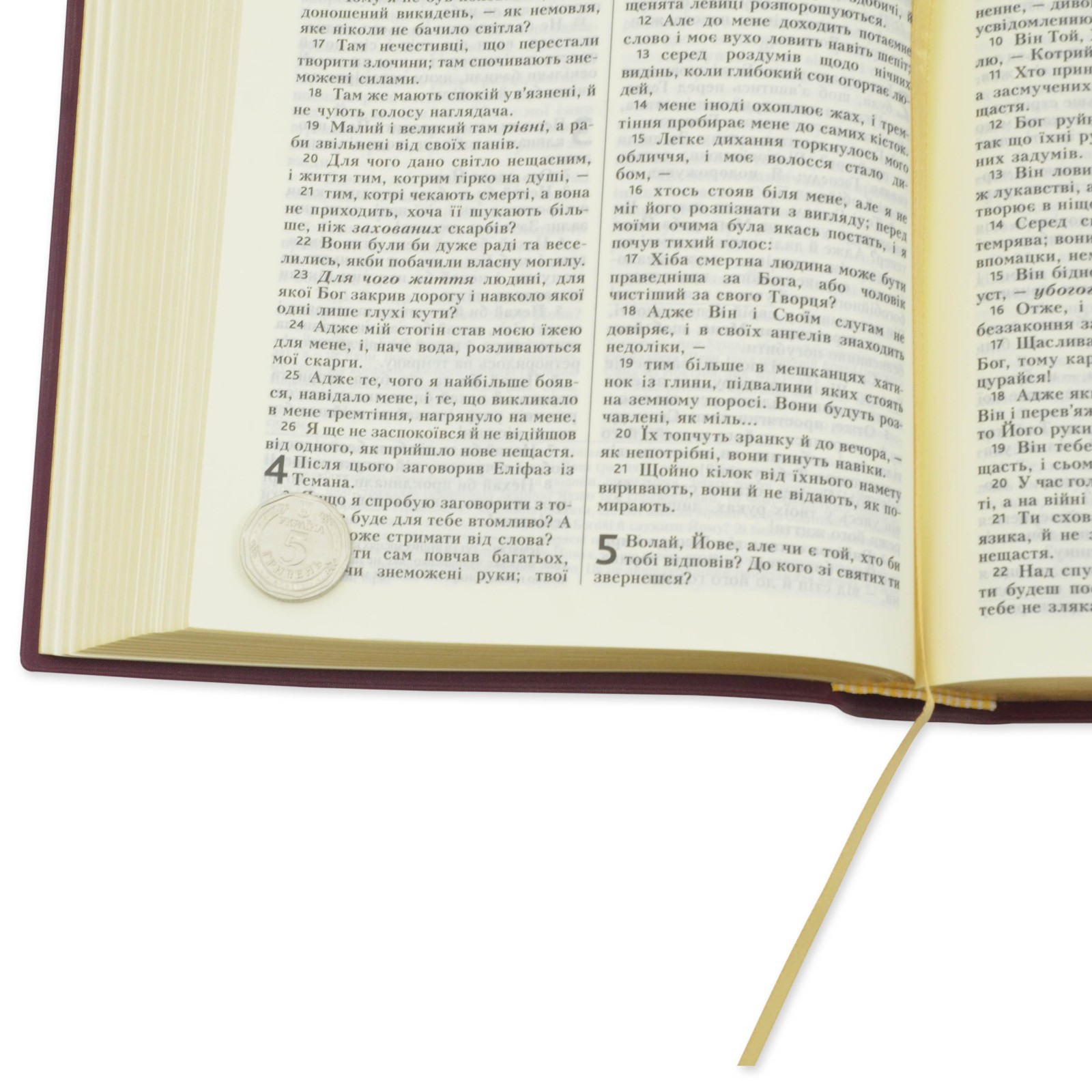 Bible in Ukrainian “БІБЛІЯ” сучасний український Переклад 17х23см великий формат