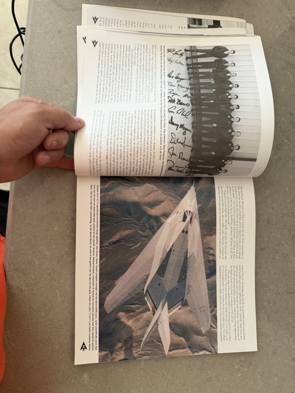 Nighthawk F-117 Stealth Fighter by Alison J. and Paul F. Crickmore