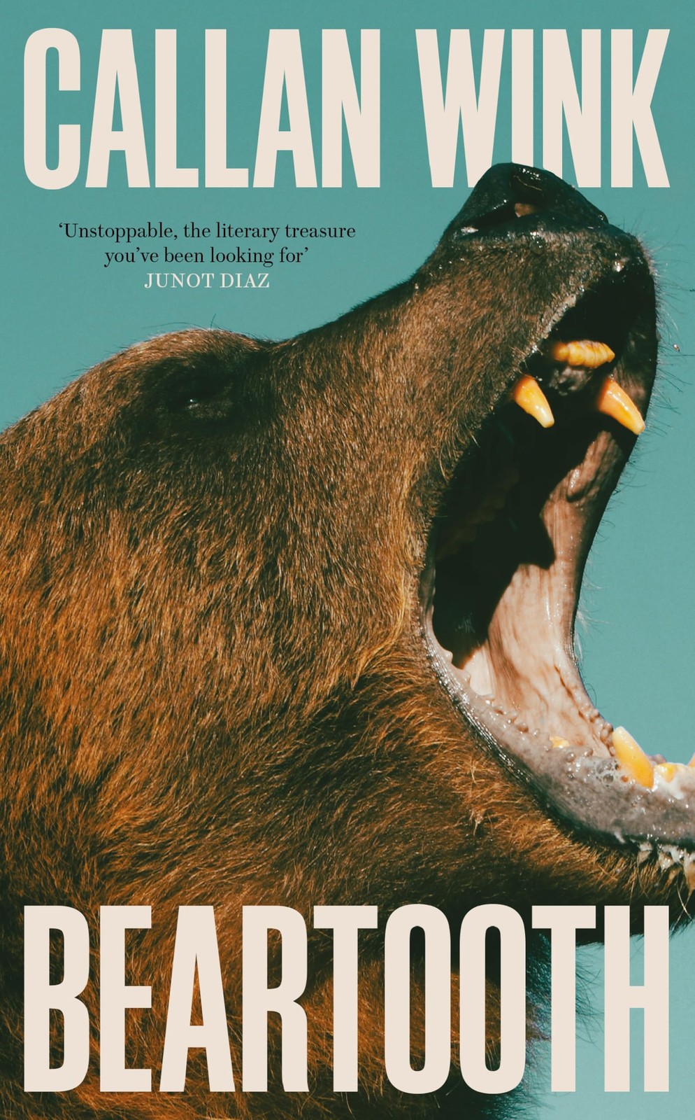 Penguin Random House USA Granta Books Beartooth. – Callan Wink – Very Good -…