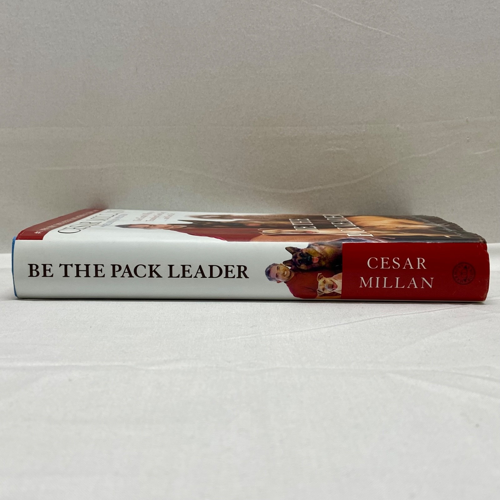 Cesar Millan Signed Pack Leader Use Cesar’s Way Transform Your Dog And Your Life