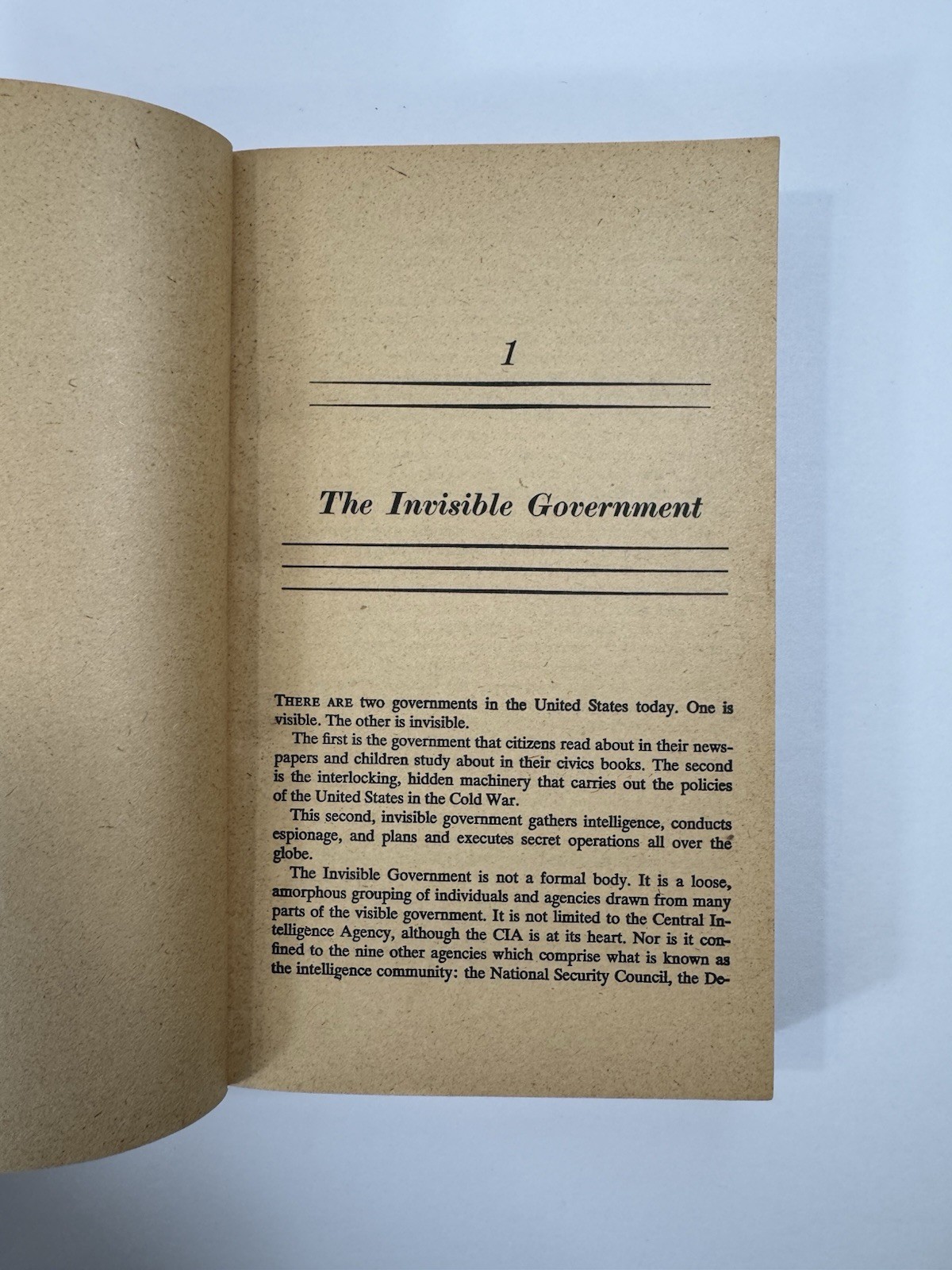 The Invisible Government