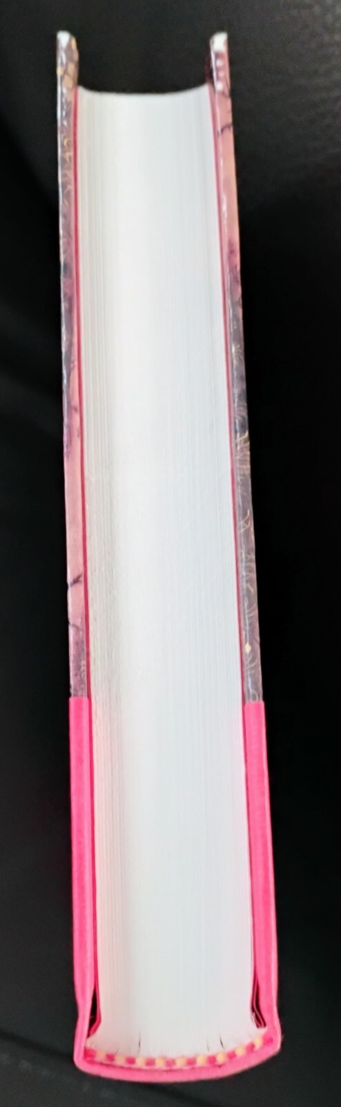 Devotio Moderna : Basic Writings by John Van Engen VG+ HC Paulist Press 1988