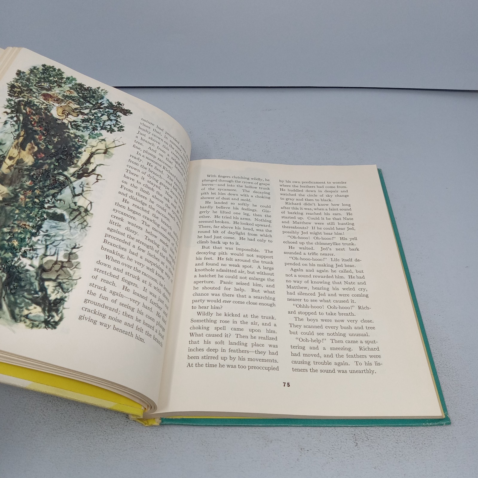 Parades: The New Basic Readers 1956 Scott, Foresman and Company Hardcover