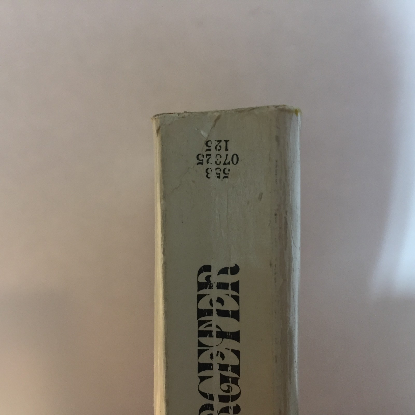 The Heaven Tree Edith Pargeter 1973 Bantam Artisan Building Medieval Saga Book
